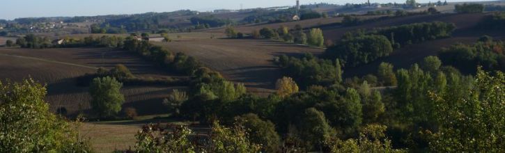 Garrigues Site officiel de la commune