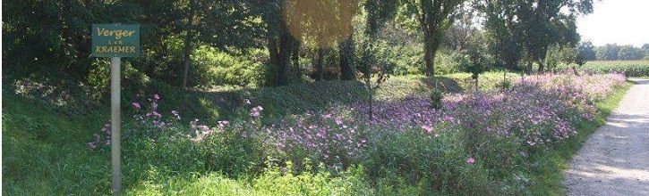 Wickerschwihr Site officiel de la commune